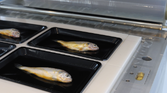 vacuum skin packaging applications applicazioni di confezionamento sottovuoto skin